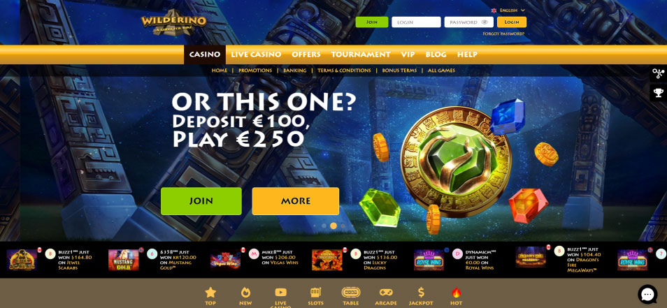 Casino Online Wilderino Casino